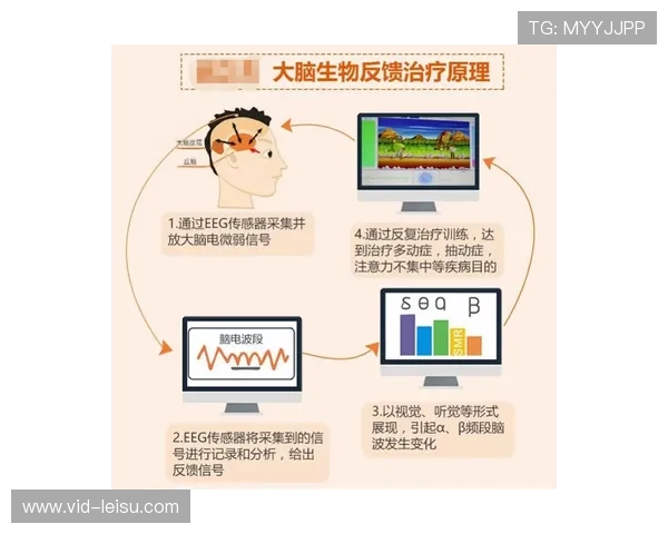 脑波分析观众注意力 内容编排更科学